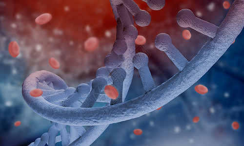 DNA分子高科技DNA分子血细胞的生物化学背景图片