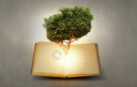 形象与绿树生长书阅读自教育背景图片