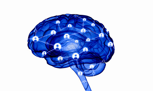 数字人脑白色数字背景下人脑的人类智能图片