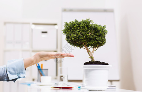 越来越成功人的手植物锅里图片