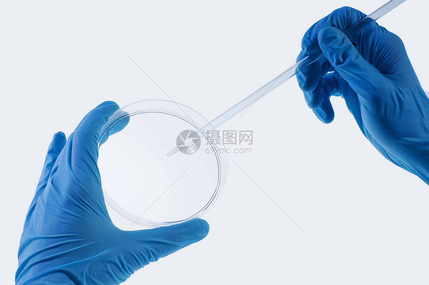 实验室测试特写科学家手液滴的图像图片