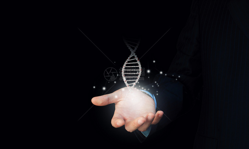 DNA分子把DNA分子握手心的人的特写图片