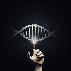 DNA研究人类触摸DNA分子的科学图像图片