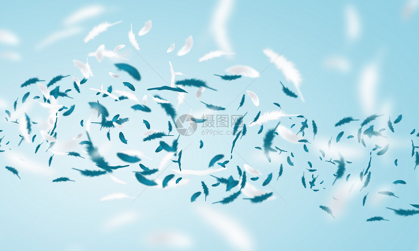 白色羽毛羽毛空中飞行的抽象背景图像图片