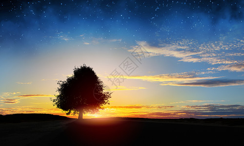自然景观自然场景与树的轮廓与日落的光线图片