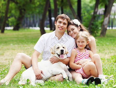 快乐的家庭户外玩得开心夏天公园里的轻家庭只狗户外高清图片