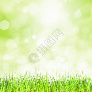 夏天的形象绿色的夏季草地,阳光光线图片