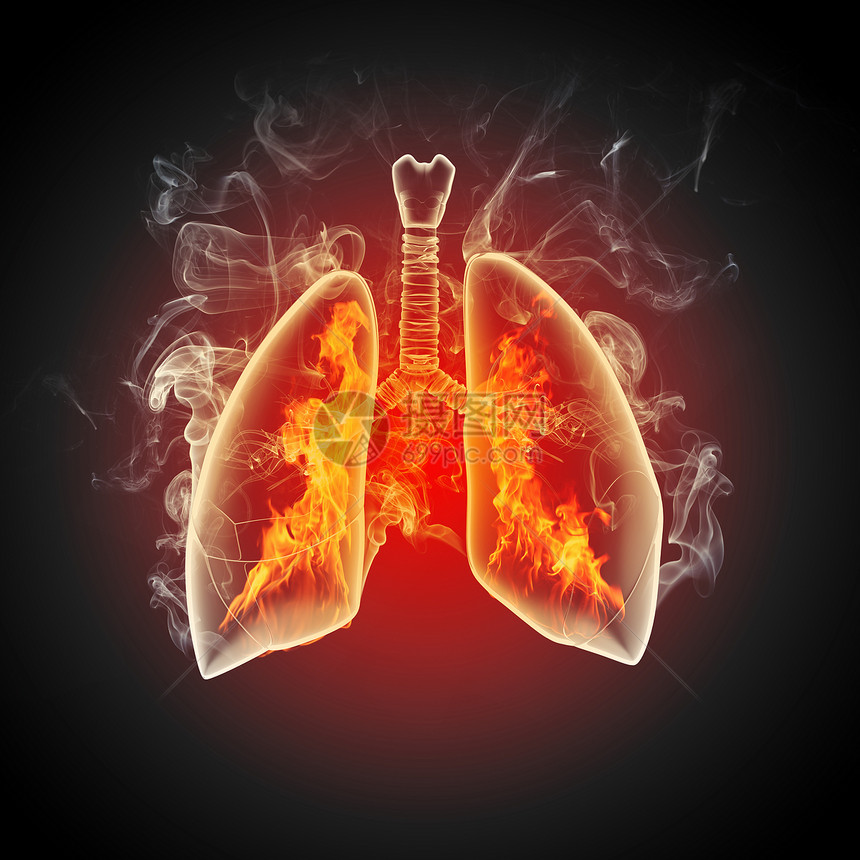 人类肺的示意图彩色背景上同元素的人类肺的示意图拼贴图片