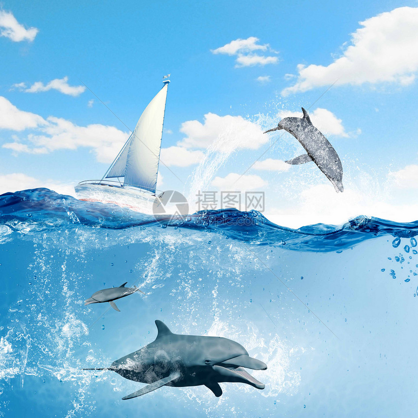 游艇运动漂浮的游艇海豚水下游泳图片