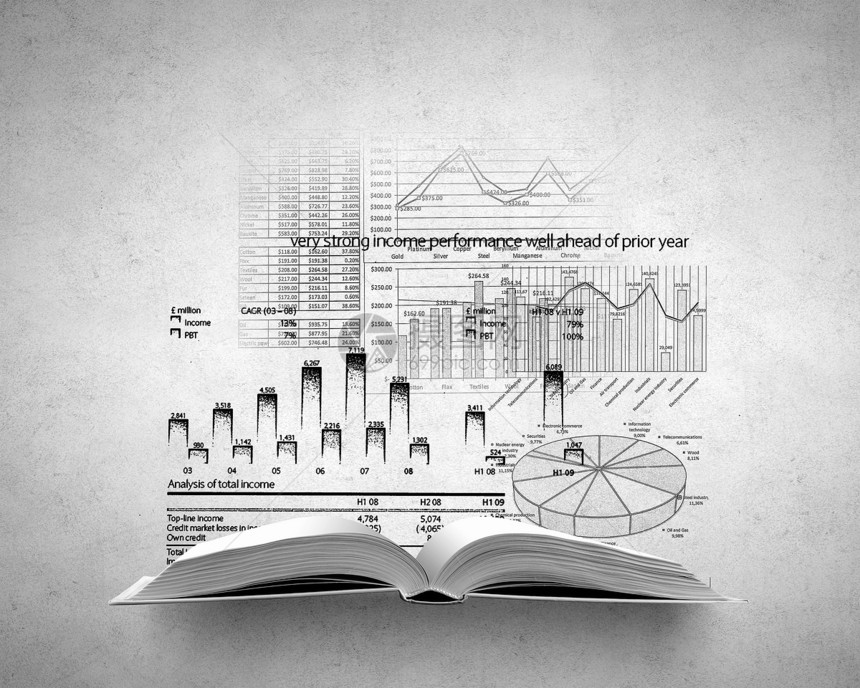 收入图表用商业草图市场打开了本书图片