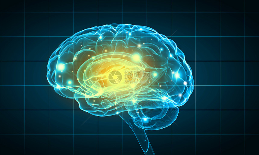 人类的头脑蓝色背景下人脑的科学图像图片