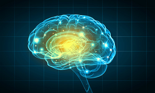 人类的头脑蓝色背景下人脑的科学图像图片