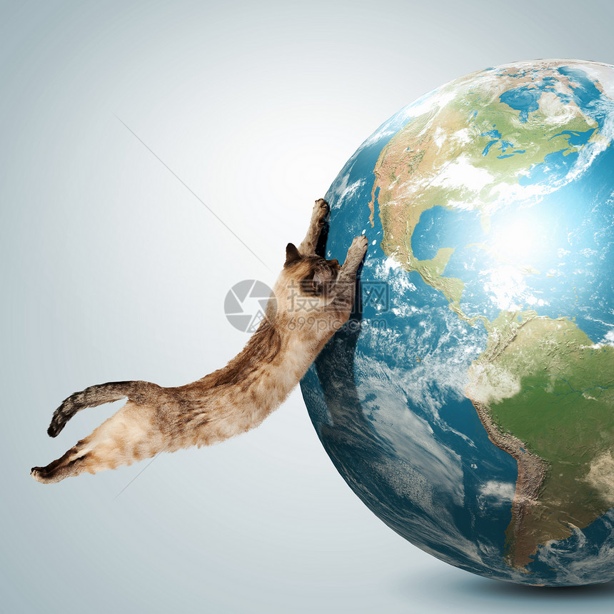 暹罗猫玩暹罗猫玩地球仪的形象这幅图像的元素由美国宇航局提供的图片