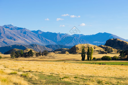 风景如画新西兰阿尔卑斯山田野的自然景观背景图片