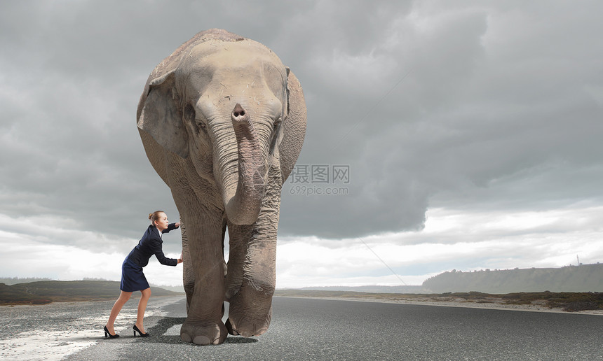 女商人努力移动巨大的大象图片