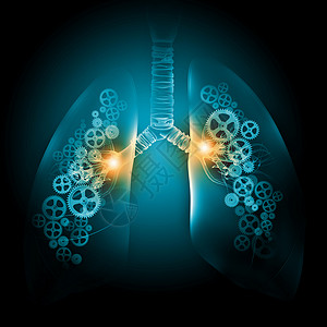人类器官人类的肺用齿轮机构说明人类肺背景