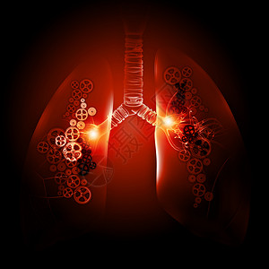 人类的肺用齿轮机构说明人类肺图片