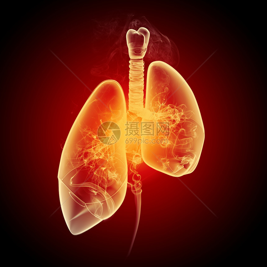 人类肺的示意图彩色背景上同元素的人类肺的示意图拼贴图片