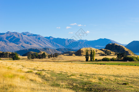 风景如画新西兰阿尔卑斯山田野的自然景观背景图片