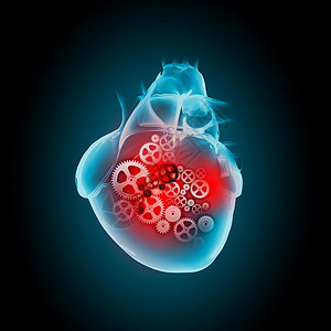 人类的心脏机制的人类心脏图像健康医学高清图片
