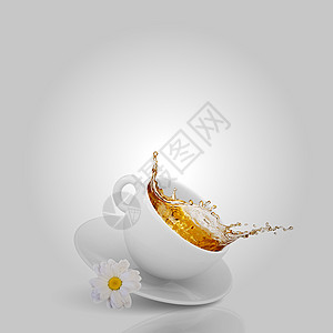 洋甘菊茶白色茶杯,洋甘菊花图片