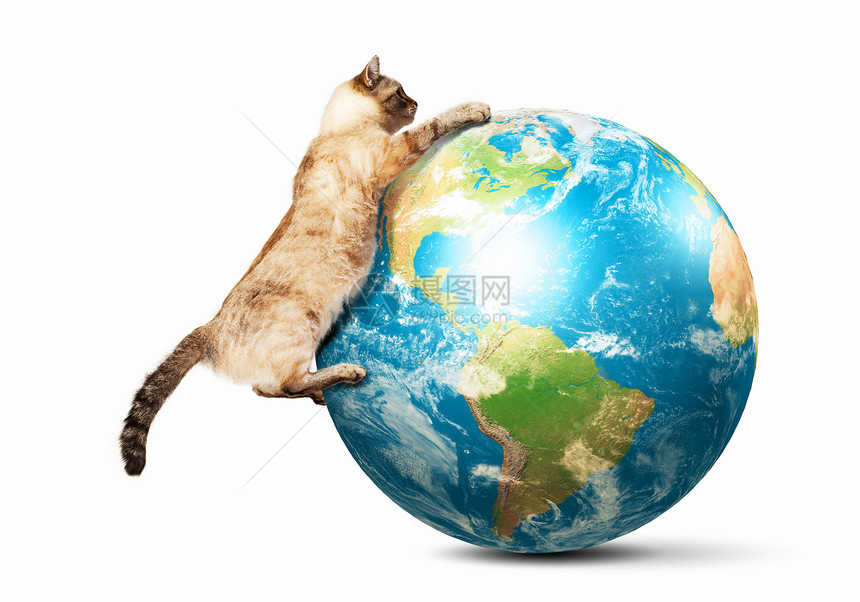 暹罗猫玩暹罗猫玩地球仪的形象这幅图像的元素由美国宇航局提供的图片