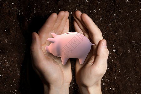 让你的储蓄增长背景处保存猪存钱罐土壤的畸形图片