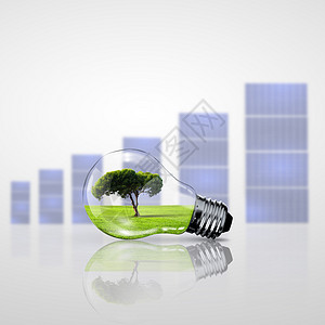 电灯泡的植物绿色能源的象征图片