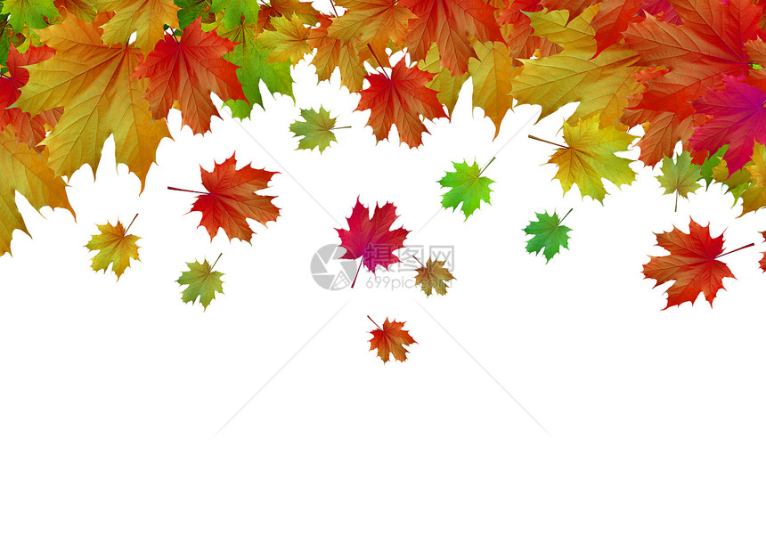 秋天的叶子背景图像与秋叶文字的位置图片