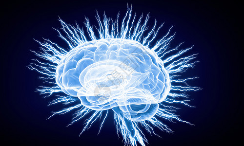 数字人脑蓝色数字背景下人脑的人类智能图片