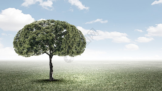 空气污染绿色树的形象,形状像大脑背景图片