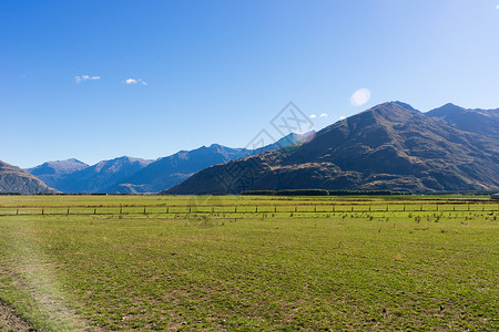 风景如画新西兰阿尔卑斯山田野的自然景观背景图片