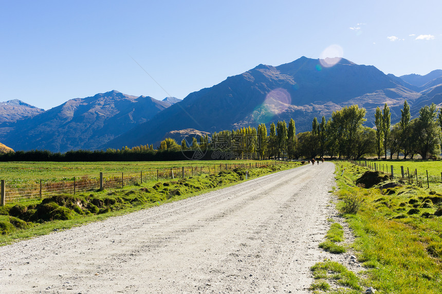 风景如画新西兰阿尔卑斯山道路的自然景观图片