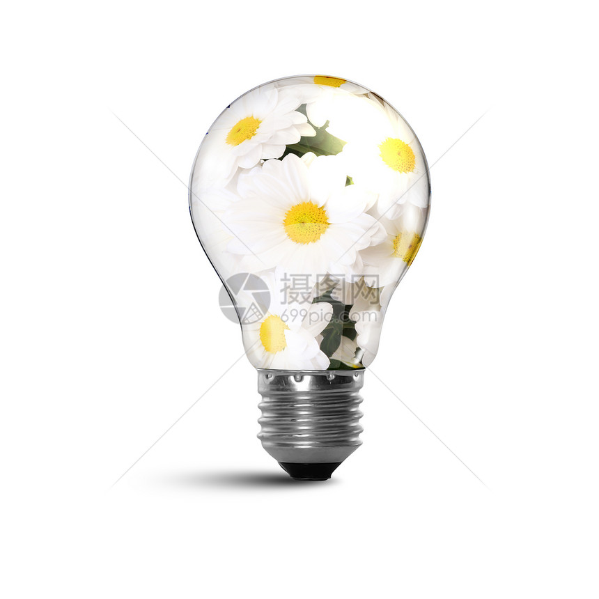 生态灯泡灯说明个电灯泡的清洁安全的质它的说明图片