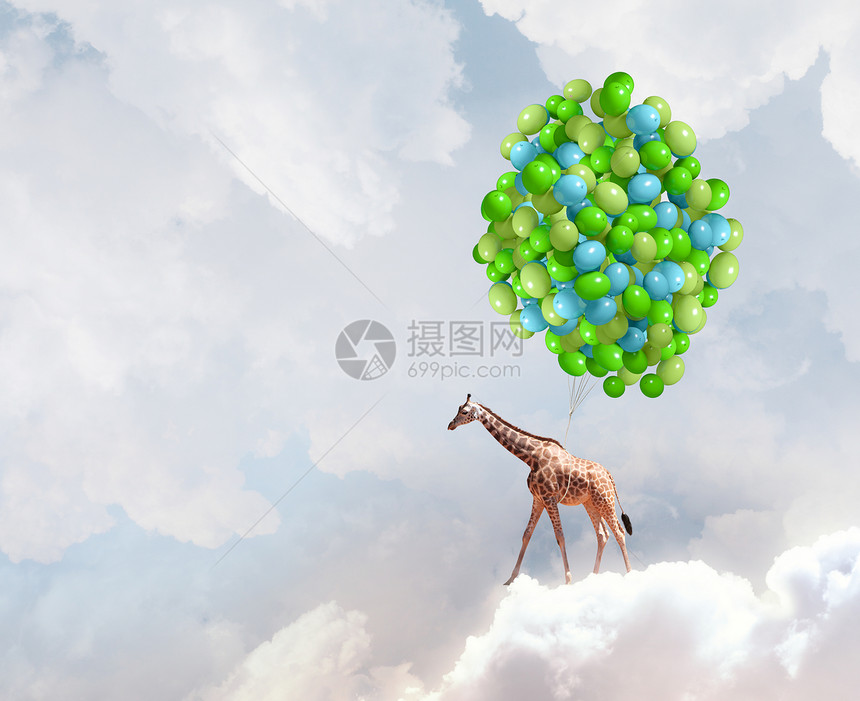 会飞的长颈鹿长颈鹿堆五颜六色的气球上高高地飞翔图片