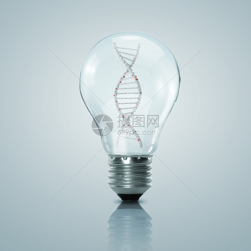 电灯泡内的人类DNA链图片