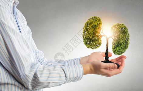 绿色生命保护生态以人手握呵护绿树为代表图片