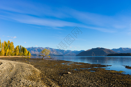风景如画新西兰阿尔卑斯山湖泊的自然景观高清图片