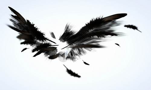黑色鹰黑色的翅膀黑色翅膀光背景下的抽象图像背景