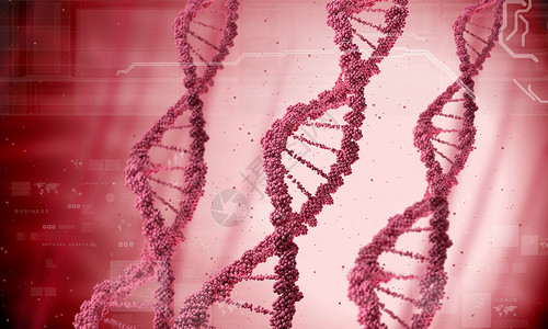 DNA分子数字红色DNA分子的生物化学背景图片