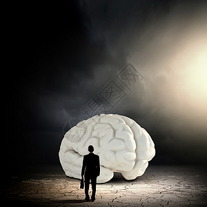 大脑大开知识商人的后视镜看大大脑模型背景