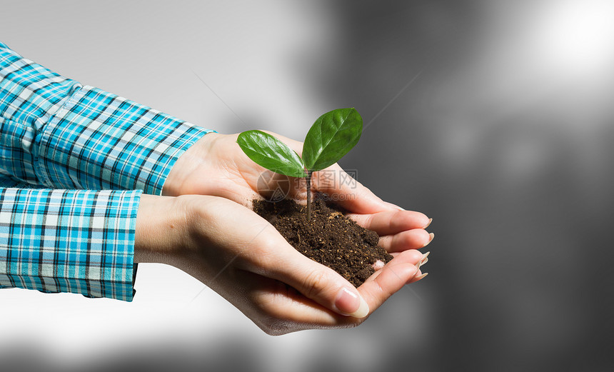 了爱关心,你就会它成长女手着绿色的芽,手掌里土壤图片