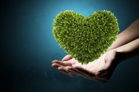 自然的爱绿色的心人类手中代表生态图片