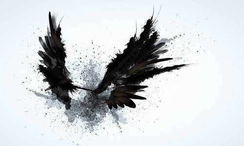 黑色鹰黑色的翅膀黑色翅膀光背景下的抽象图像背景