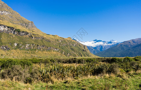 新西兰阿尔卑斯山草地的自然景观图片