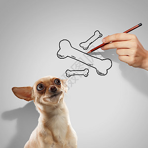 小网格画素材小趣的狗小趣的狗人的手的形象背景