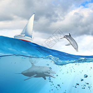 游艇运动漂浮的游艇海豚水下游泳图片