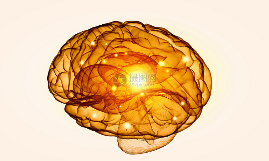 白色背景的人脑的人类智力人类的大脑图片