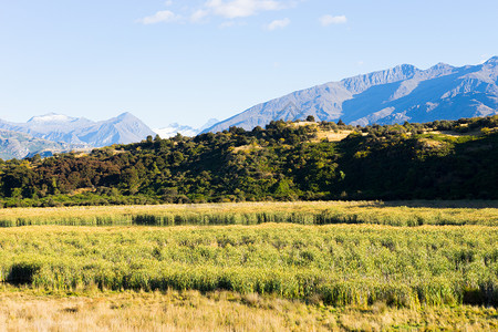 风景如画新西兰阿尔卑斯山田野的自然景观背景图片