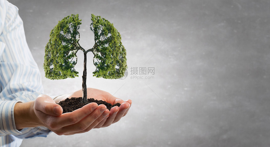 绿色生命保护生态以人手握呵护绿树为代表图片